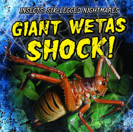 Giant Wetas Shock!