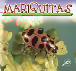 Mariquitas