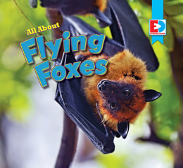 All About Flying Foxes
