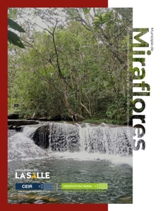 Municipio de Miraflores (Guaviare)