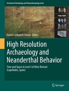 High Resolution Archaeology and Neanderthal Behavior