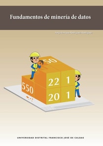 Fundamentos de minería de datos