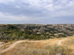 Sophia: Discovering Your True Purpose Through The Spiritual Heart