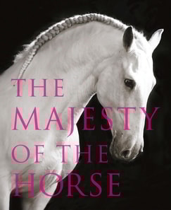 Majesty of the Horse