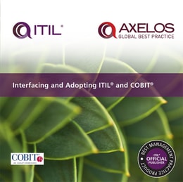 Interfacing and Adopting ITIL and COBIT