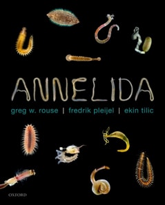 Annelida