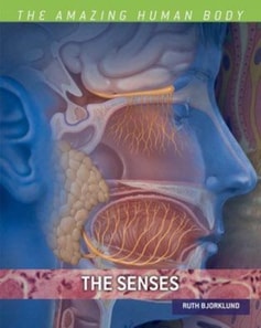 Senses