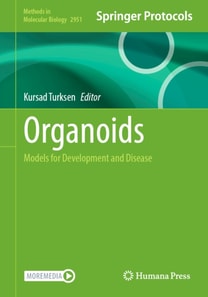 Organoids