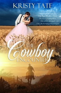 Cowboy Encounter
