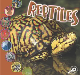 Reptiles