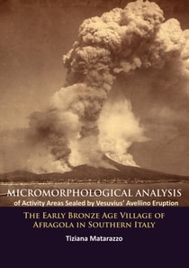 Micromorphological Analysis of Activity Areas Sealed by Vesuvius' Avellino Eruption