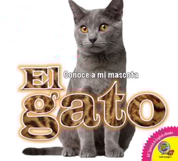 El gato