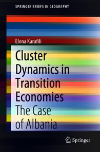 Cluster Dynamics in Transition Economies