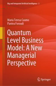 Quantum Level Business Model: A New Managerial Perspective