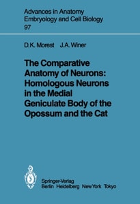Comparative Anatomy of Neurons: Homologous Neurons in the Medial Geniculate Body of the Opossum and the Cat