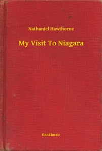My Visit To Niagara