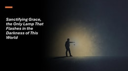 Sanctifying Grace, the Only Lamp That Flashes in the Darkness of This World