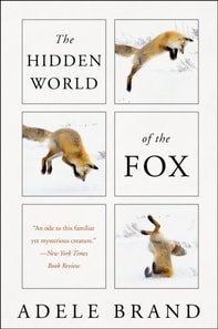 Hidden World of the Fox