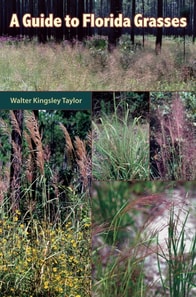 Guide to Florida Grasses