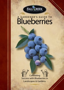 Gardener's Guide to Blueberries