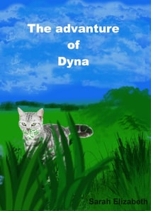 Adventure of Dyna