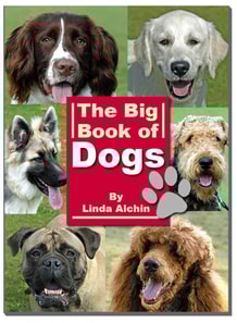 Big Book of Dogs