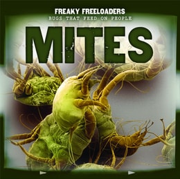 Mites