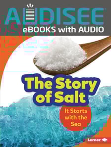 Story of Salt