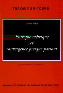 Entropie métrique et convergence presque partout