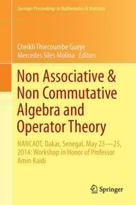 Non-Associative and Non-Commutative Algebra and Operator Theory