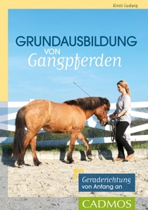 Grundausbildung von Gangpferden