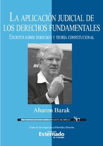 La aplicacion judicial de los derechos fundamentales