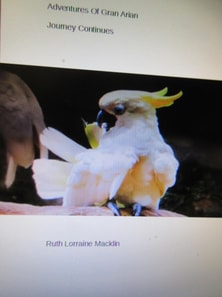 Adventures Of Gran Arian Journey Continues