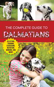 Complete Guide to Dalmatians