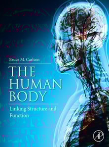 Human Body