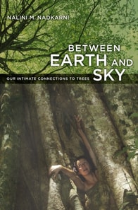 Between Earth and Sky