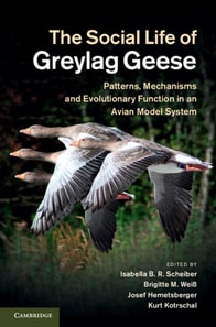 Social Life of Greylag Geese