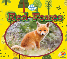 Red Foxes