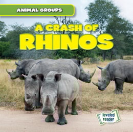 Crash of Rhinos