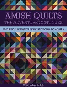 Amish Quilts-The Adventure Continues