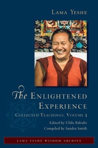 Enlightened Experience: Collected Teachings, Volume 3