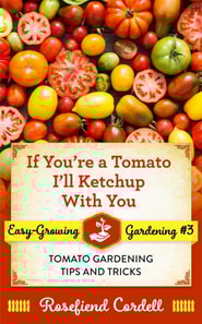 If You're a Tomato I'll Ketchup With You