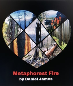 Metaphorest Fire