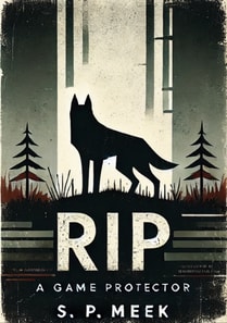 RIP: a Game Protector