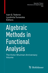 Algebraic Methods in Functional Analysis