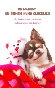 So machst du deinen Hund glücklich