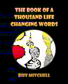 Book of a Thousand Life Changing Words (Humor)