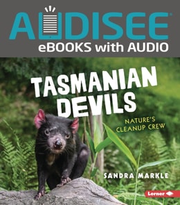 Tasmanian Devils