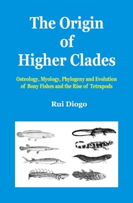 Origin of Higher Clades
