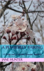Pemberley Pairing: A Pride and Prejudice Sensual Intimate